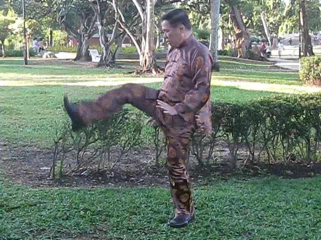 Wu Chuan You Style Taijiquan